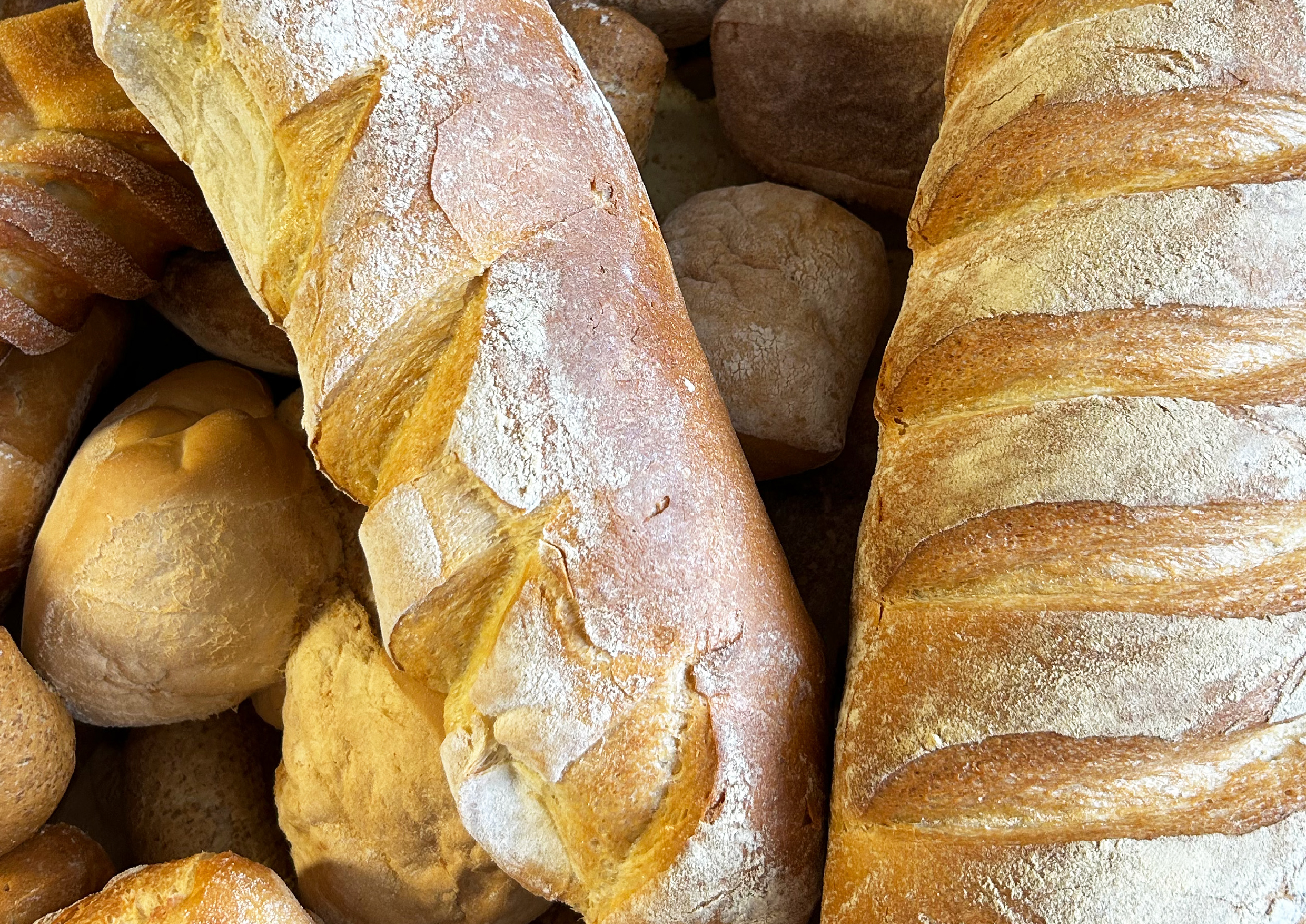 Pane